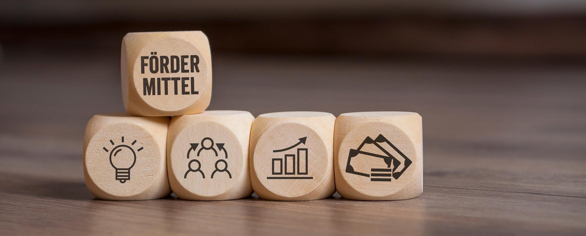 Würfel aus Holz mit den Aufschriften Fördermittel und Symbolen für Geld, Wachstum und Ideen